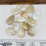 Destash Fossilized Coral Beads