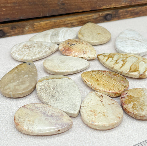 Destash Fossilized Coral Beads