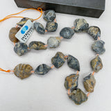 Destash Fossilized Clam Beads