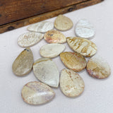 Destash Fossilized Coral Beads